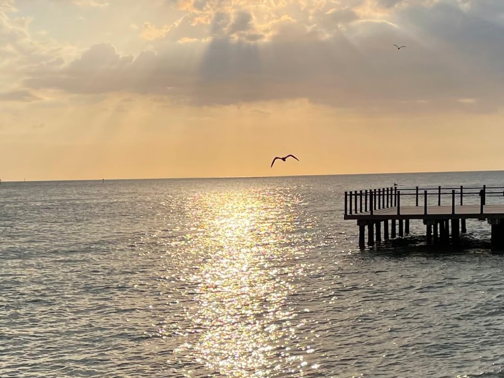 Trekking or tripping&nbsp;poles?