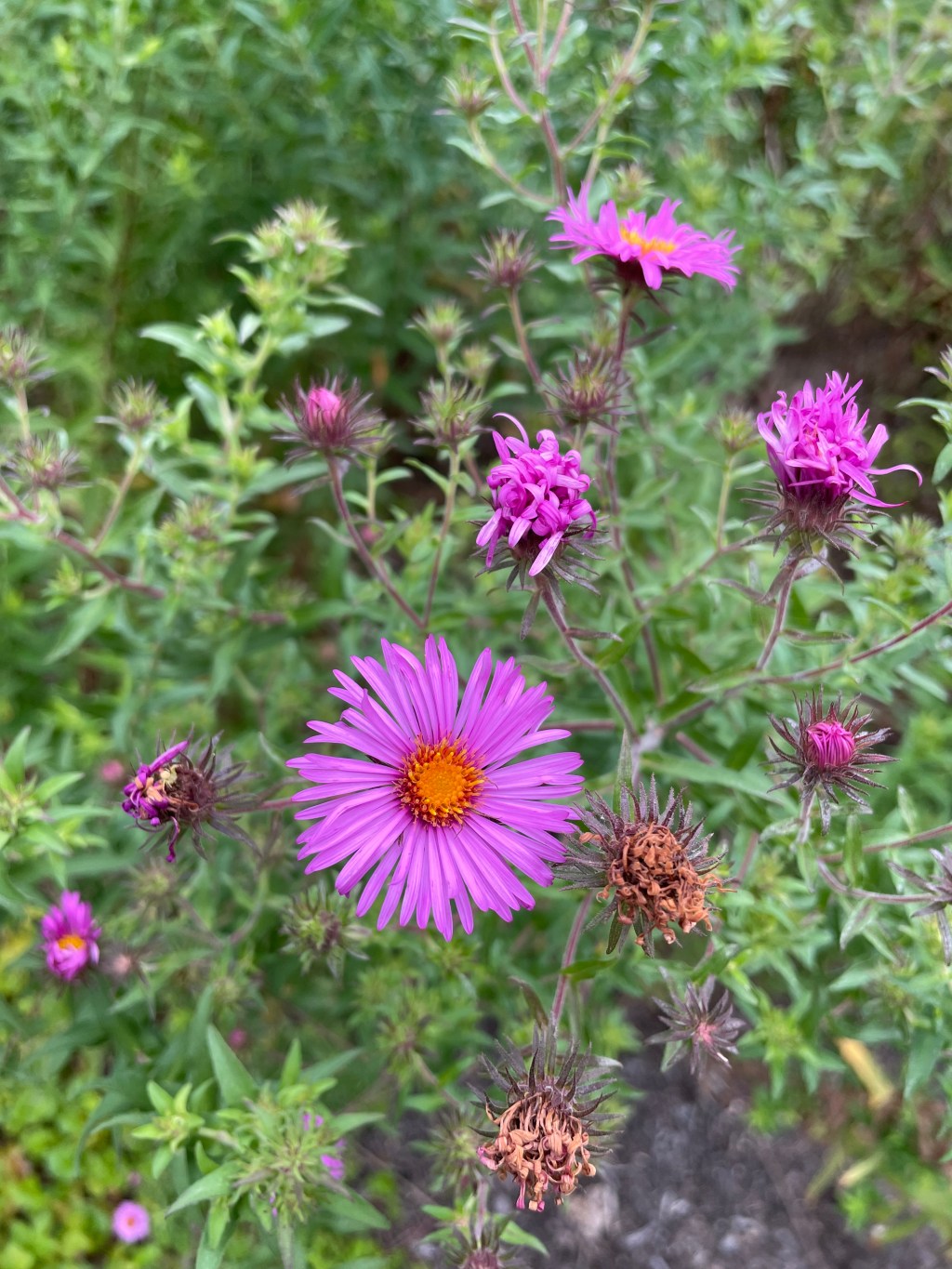 Trail Angels and Unexpected Guides at&nbsp;REI