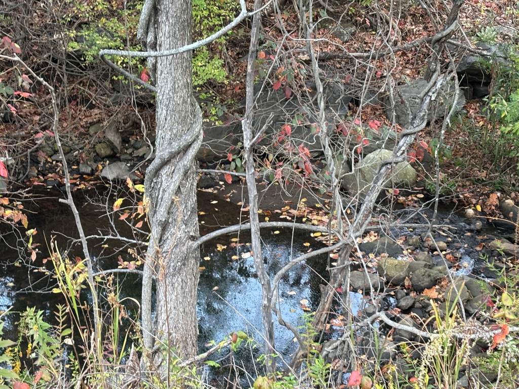 Reflections leading into the extreme&nbsp;hike
